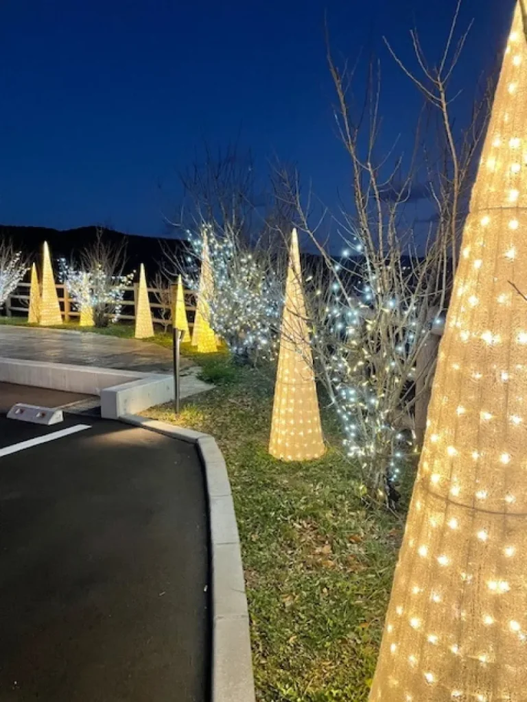 000479fa6a6a0ea3f403f6adfc5d2925