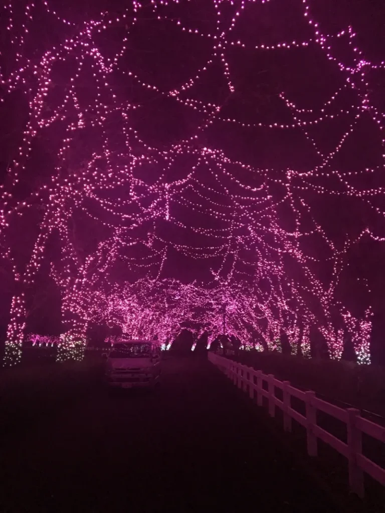 0695bf05fc77ecb302b01dc654e304d2