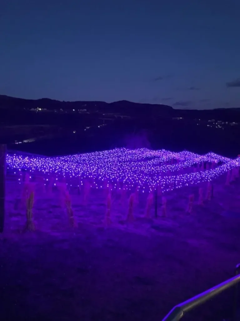 4e5aa1d655883ce387161fd83e425222