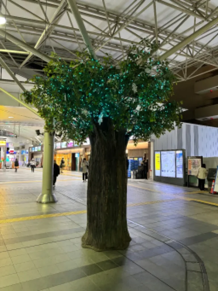 657913bfd8907ce8888269611d420c8a