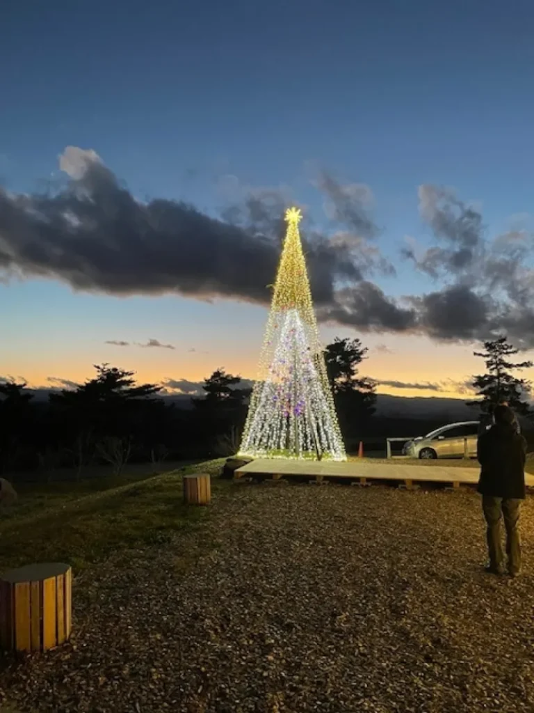 9c16823682e6fbd9085f67d6c564ea4d