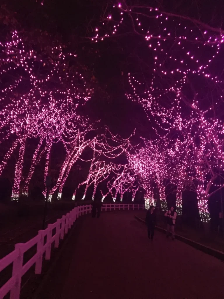 9deb9d3216a735e3ee9e454d689cf5c3