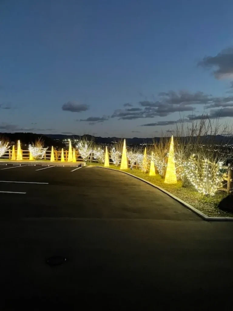 a97a1cc35ded8d9c16737c8e60b1b6ad