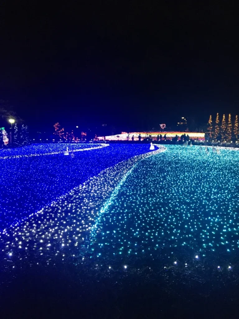 dda3445a7499fa71fc325713ffda0521