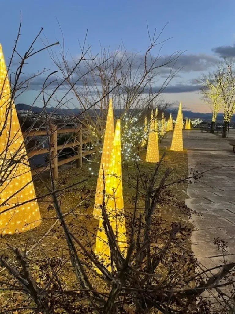 fb51077d8e70af6f654b7a7069021393